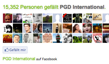 Die Facebook-Microsite der Paul Gerhard Diakonie International